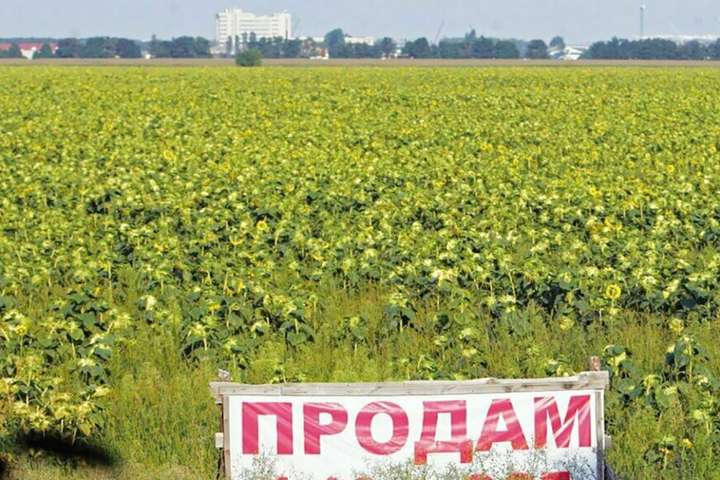 У Кабміні підтримали всеукраїнський референдум щодо продажу землі іноземцям