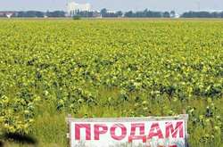 У Кабміні підтримали всеукраїнський референдум щодо продажу землі іноземцям