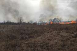 На Київщині масові пожежі в екосистемах (фото)