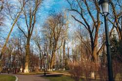 Біля Верховної Ради комунальники виявили людські кістки