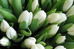  Тема Міжнародного жіночого дня 2020 року «Я – покоління рівноправ’я: реалізація прав жінок» 