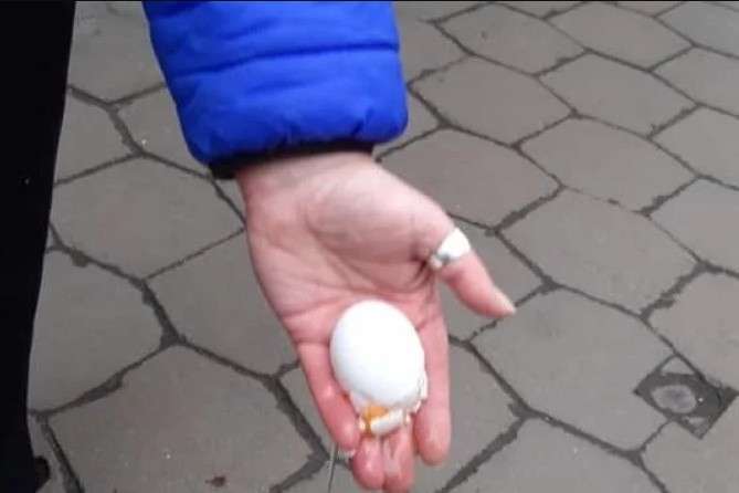У Львові учасниць маршу за права жінок закидали яйцями 