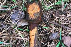 Гранату було виявлено під автомобільним мостом біля р. Здвиж