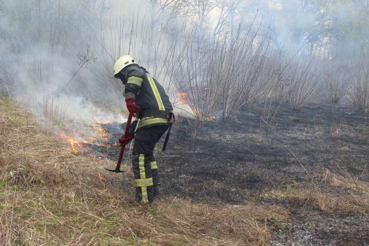 У Києві масові пожежі в екосистемах міста