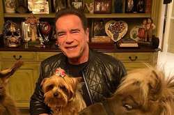 Арнольд Шварценеггер показав песику, як мити руки