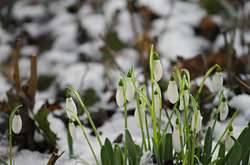 В Україну заходить арктичний холод: прогноз погоди на 16 березня