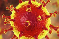 Пандемія коронавірусу: українській владі потрібно скласти чітку інструкцію для населення