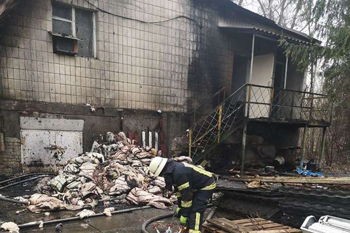 Під час ліквідації пожежі на базі відпочинку в Києві виявлено тіла двох людей (фото)