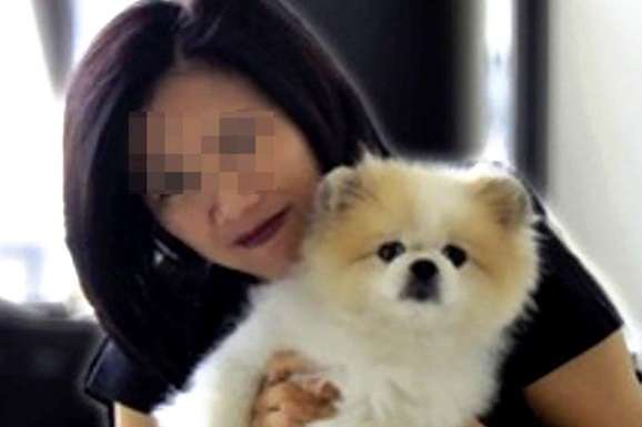 У Гонконзі помер єдиний пес, в якого виявили коронавірус 