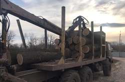 Поліцейські  зупинили вантажівку зі спиляною деревиною 