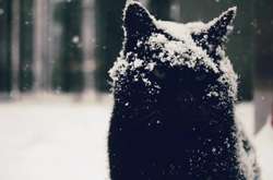 Синоптики обіцяють суттєву зміну погоди – похолодання та сніг