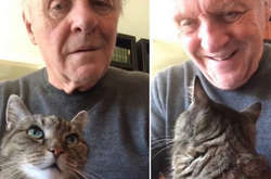  Легендарный голливудский актер Энтони Хопкинс и его кот Нибло 
 Фото: скриншот видео 