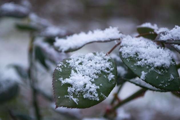 На Київ насувається похолодання зі снігом