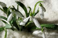 Погода на 21 березня: в Україну повертається похолодання та мокрий сніг