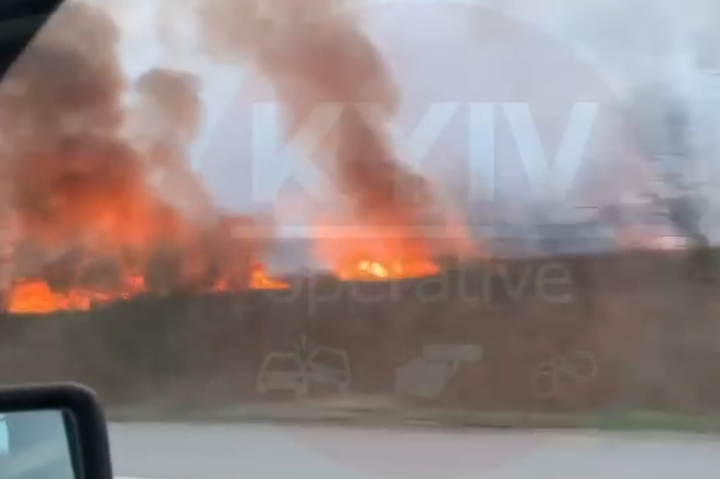 Під Києвом біля траси сталася масштабна пожежа. Горить очерет (відео)
