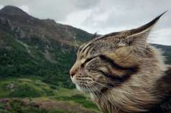 Сьогодні в Україні буде вітряно і прохолодно