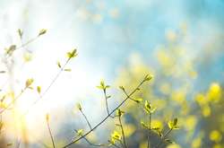 Україну накриє антициклон Юрген: прогноз погоди на 25 березня