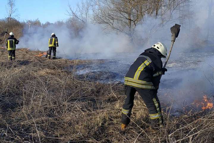 У Києві горять чагарники (фото)