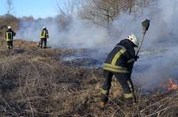 Рятувальники ліквідовують загорання в екосистемах