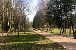 Під час карантину можна гуляти у парках