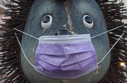 На знамениту скульптуру їжачка в центрі Києві одягли маску (фото)