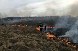 Горить  трав’яний настил, чагарники та самосій  