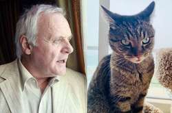 Знаменитый голливудский актер Энтони Хопкинс