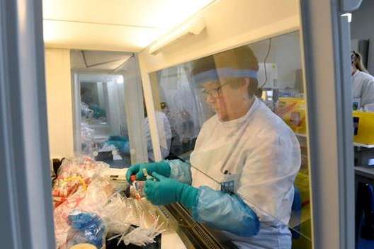 Нардеп Гончаренко вимагає від Зеленського розблокувати роботу науковців, які розробляють тести на коронавірус