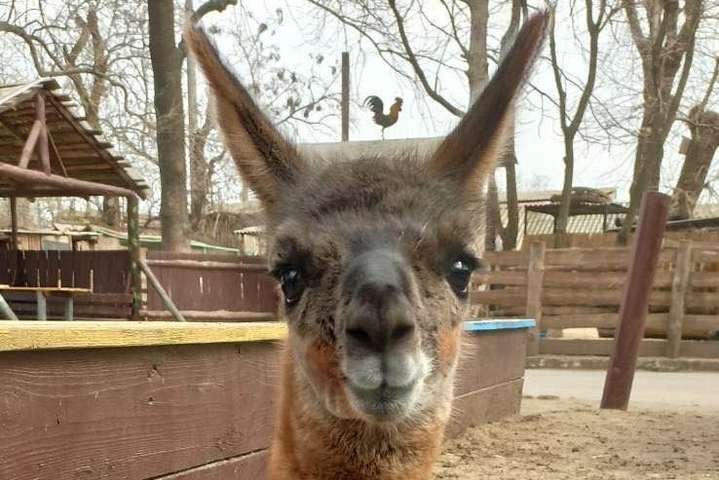 В Одеському зоопарку з'явився новий мешканець