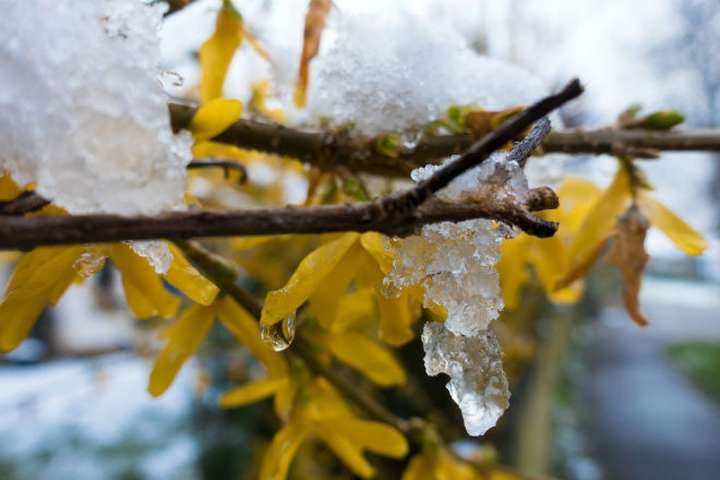 В Україну йде похолодання і сніг: прогноз погоди на 30 березня