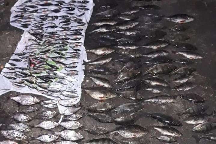 На Київщині браконьєри виловили риби на понад 5 тис. грн (фото)