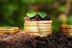 Звільнення від сплати податку на землю - мінімальний крок для допомоги бізнесу в умовах карантину, - депутат