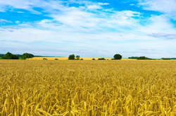 Українці отримали можливість самостійно визначати долю власної землі