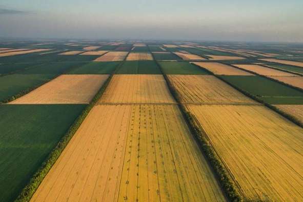 Рынок земли – история об упущенном шансе для Украины