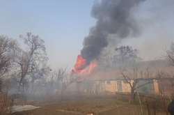 Внаслідок загорання сухої трави та чагарників загорілася господарча будівля