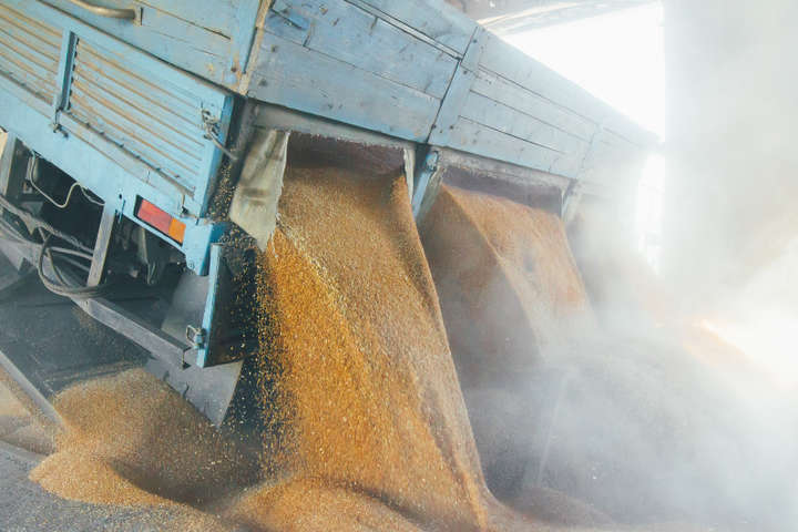 <p>На вивезення зерна з країни може бути накладено ембарго<i> </i></p> - Чи буде хліб? ООН попереджає – Україна не чує