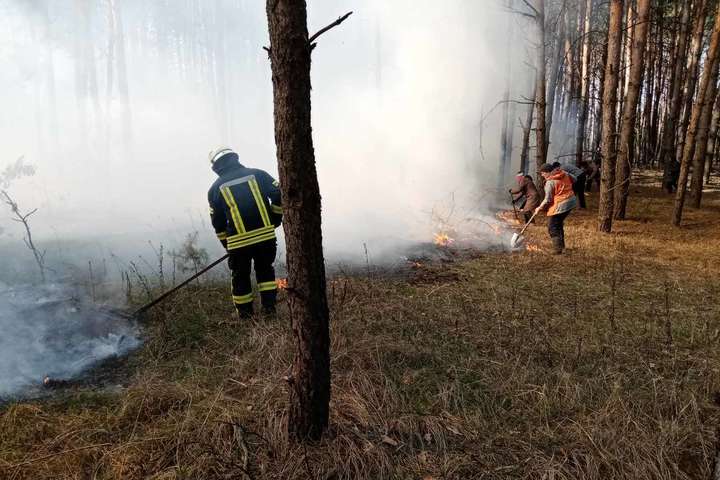 На Київщині почалися лісові пожежі (фото, відео)