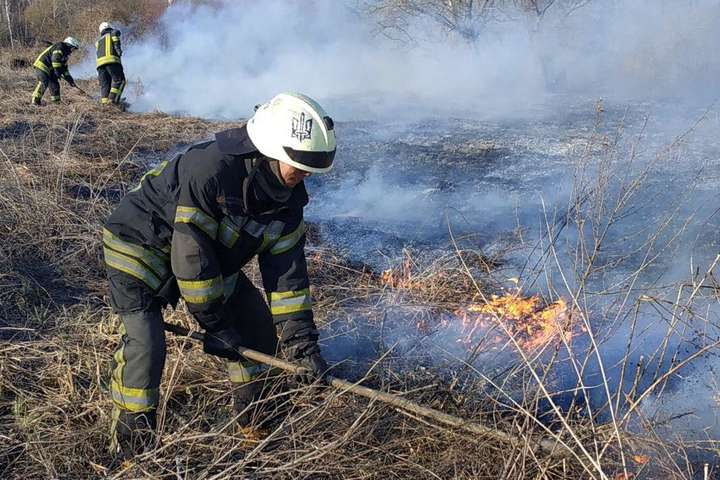 У Києві масові пожежі в екосистемах: за тиждень вигоріло понад 27 га (фото)
