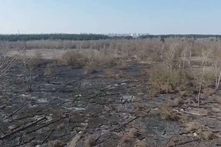 Рятувальники показали жахливі наслідки пожежі на околиці Києва (відео)