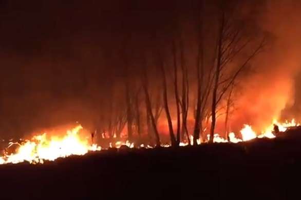 Під Києвом біля траси сталася масштабна пожежа: відео