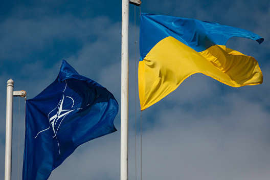 Стали відомі подробиці нових ініціатив НАТО щодо України та Грузії