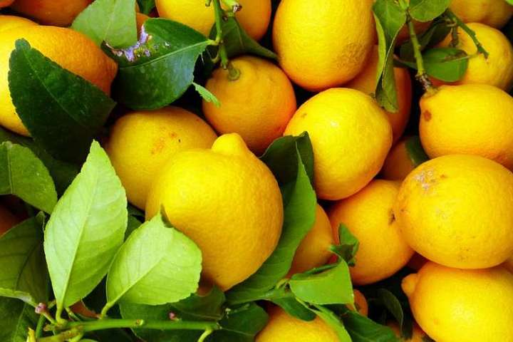 Ціни на лимони в Україні йдуть на рекорд. Справа не тільки в карантині