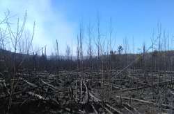 Пожежа у зоні ЧАЕС: поліція відкрила кримінальне провадження (фото, відео)