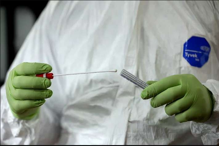 Ізраїльські біологи стверджують, що отримали антитіла проти коронавірусу