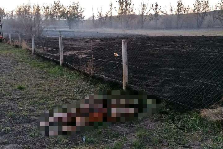 Масові пожежі на Київщині: є перша жертва