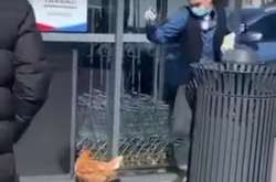 У Дніпропетровській області хлопець вигулював курку на повідку (відео)