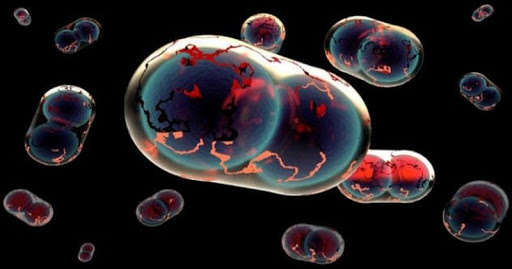 «Новая пандемия уже скоро»: ученые предупредили человечество о приближении других смертельных вирусов 
