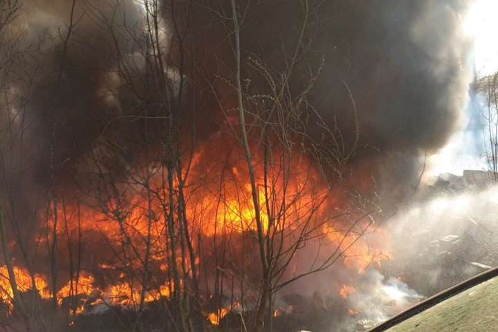 На столичній Троєщині сталася велика пожежа (фото)