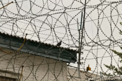 Мін'юст підтримує амністію 900 ув'язнених в умовах карантину