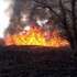 &nbsp;В Украине с&nbsp;начала года произошло 16 634 случая возгораний, уничтоживших 19 217 гектаров экосистем